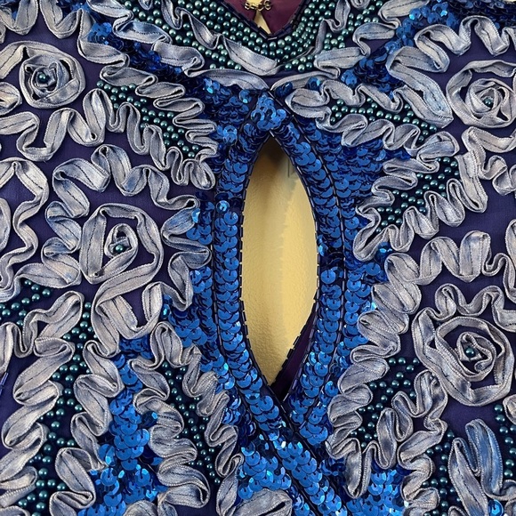 Stunning Beaded and Sequined Gown 100% Silk Size 14 - Picture 4 of 14